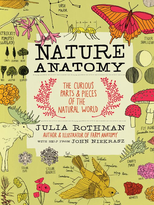 Title details for Nature Anatomy by Julia Rothman - Available